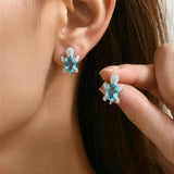 Korvakorut Onnen kilpikonna, mukaan ilmainen kaulakoru | Rajoitettu tarjous