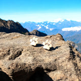 Hypoallergeeniset tassukorvakorut