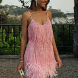 Samba | Eleganssia liikkeessä